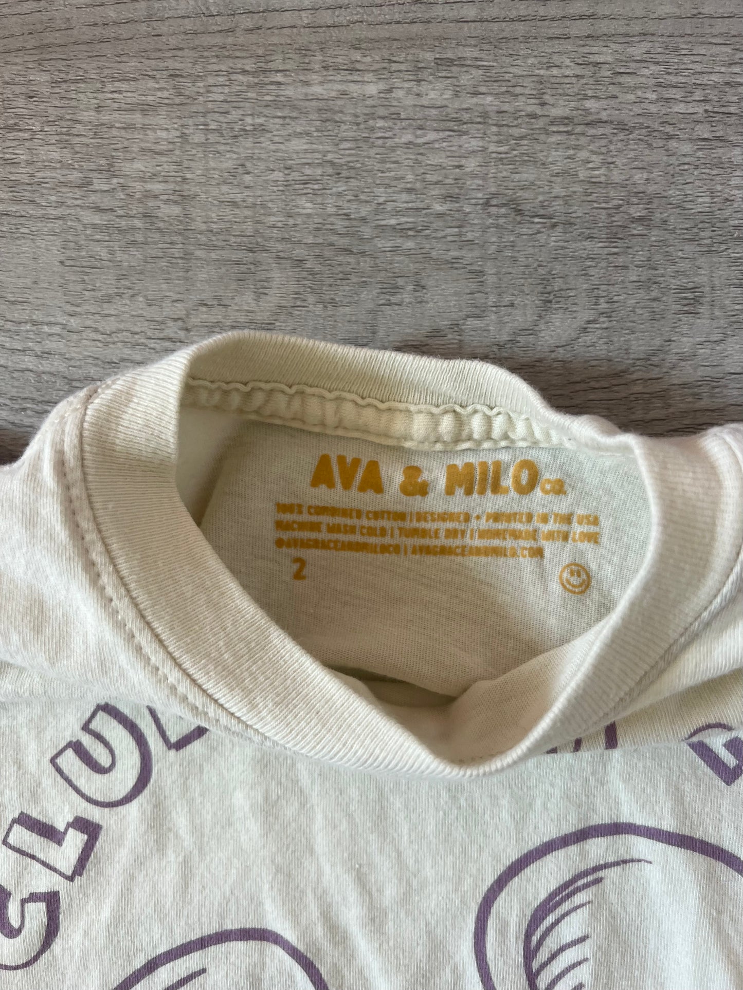 Toddler Girl Tee Size 2T