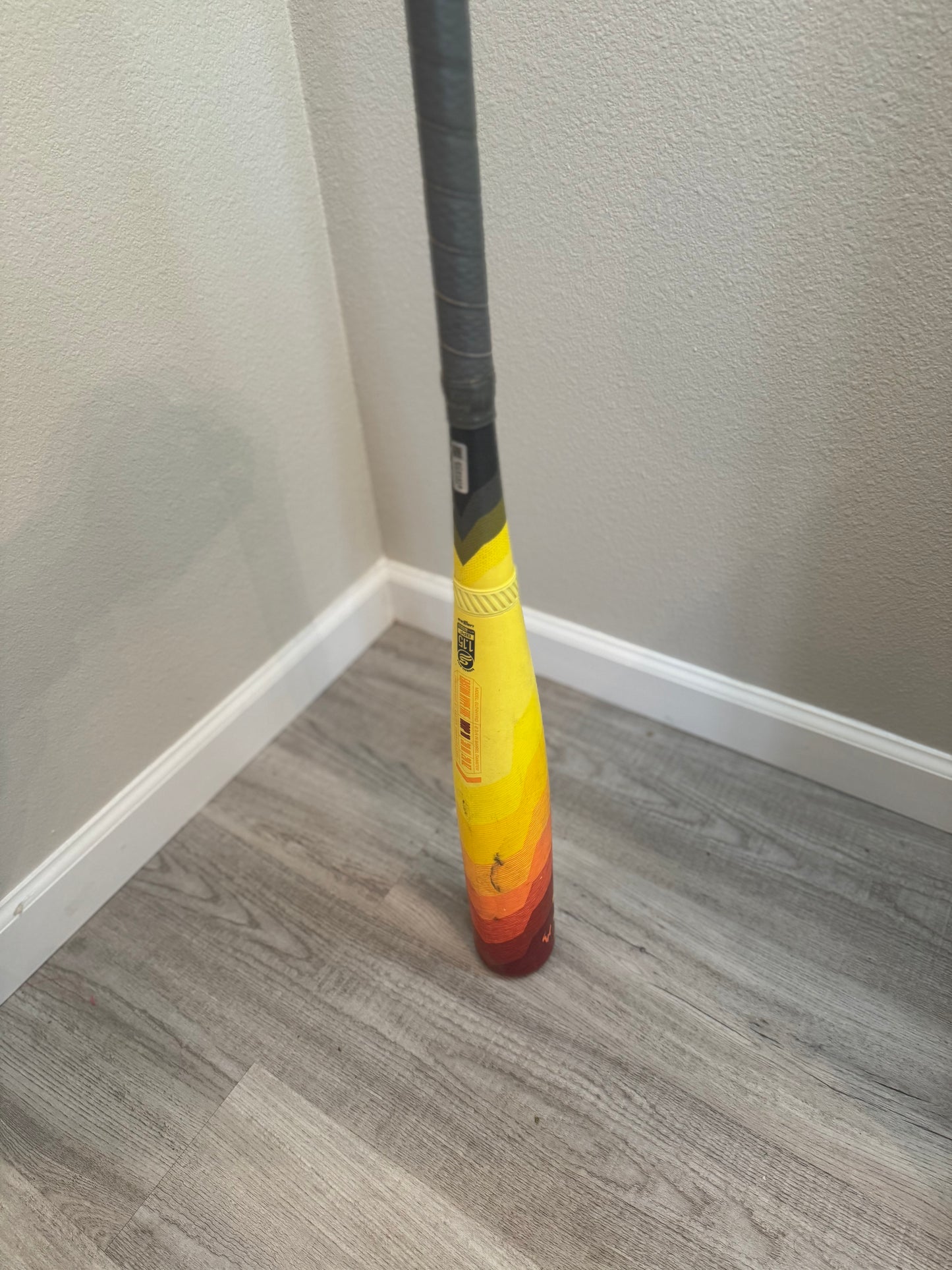 Easton Hype Fire 2024 Baseball Bat 30 in- 20 oz (-10)