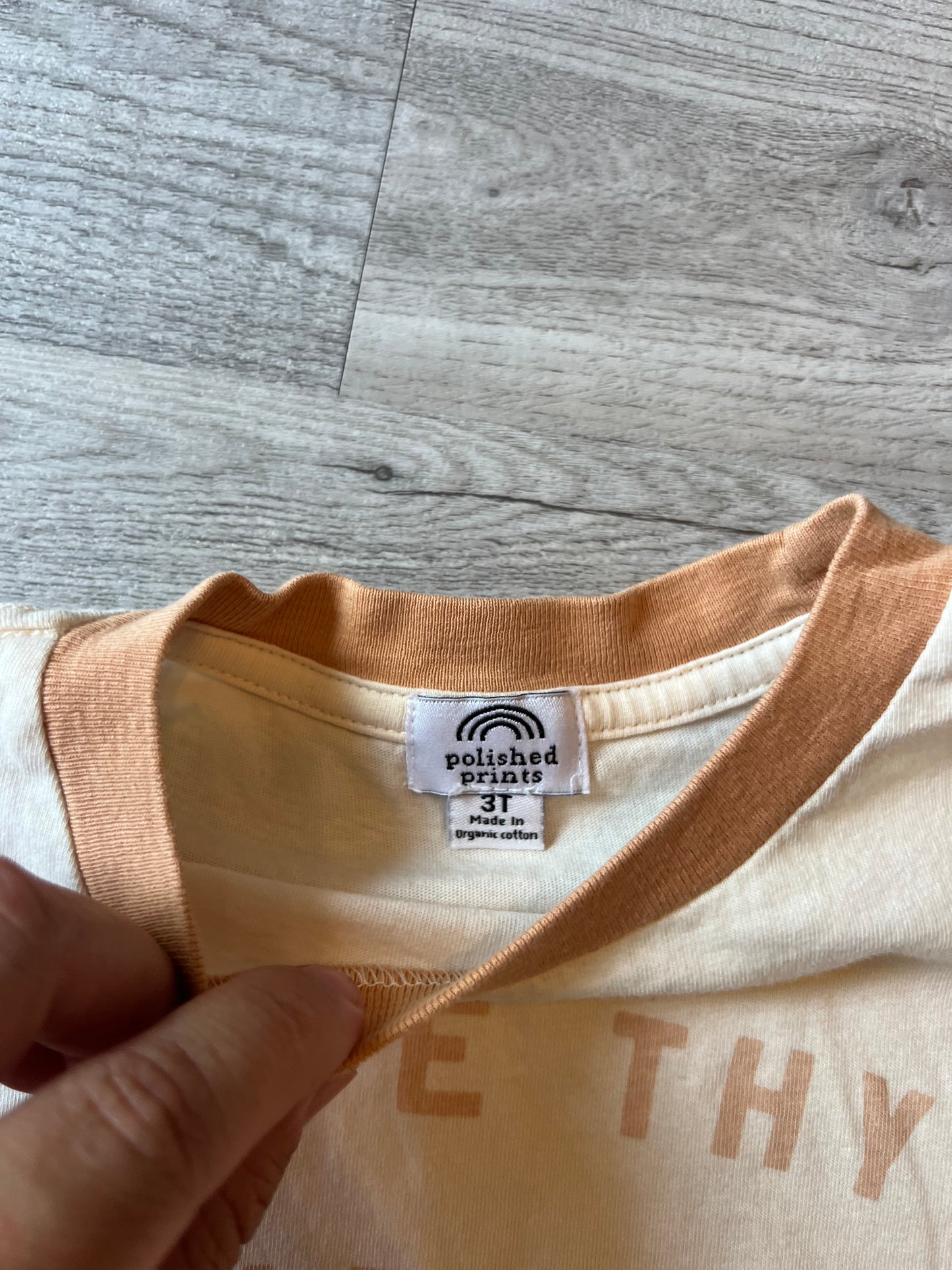 Toddler Girl Tee Size 3T