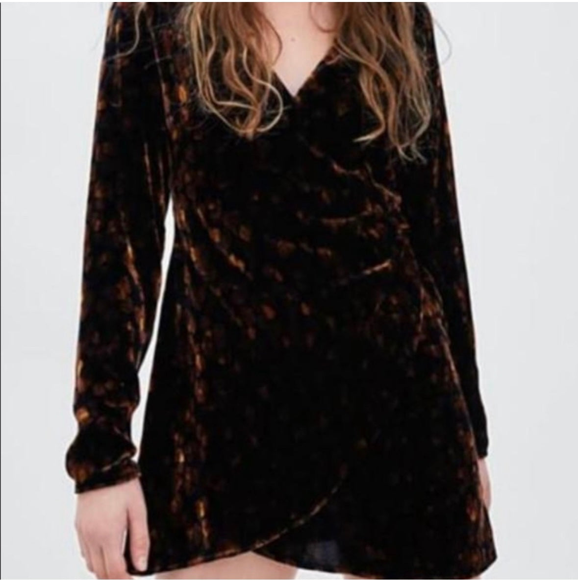 Zara TRF Velvet Leopard Print Dress Women’s Small