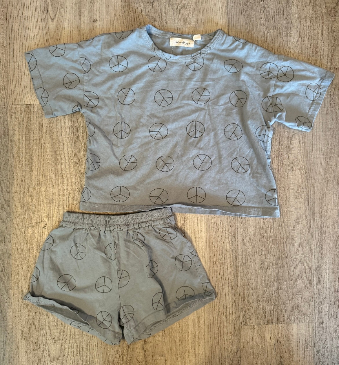 Indy and Pippa Peace Sign Daydreamer Cotton Matching Set Toddler Girl Size 4T Dusty Blue