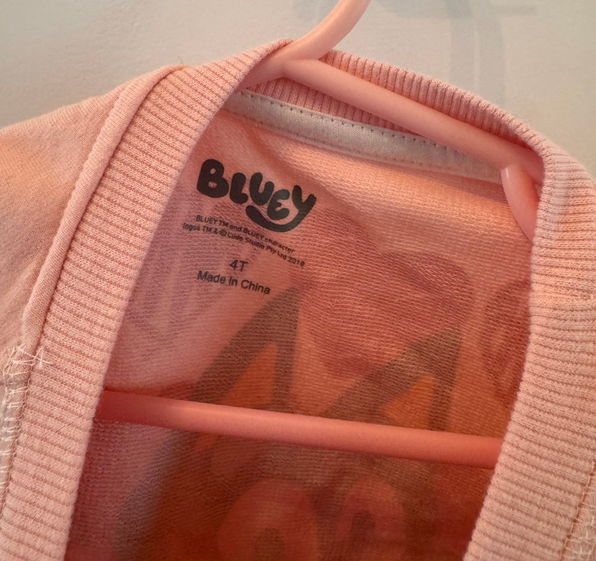 Bluey Valentine Sweatshirt Toddler Size 4T Strawberry
