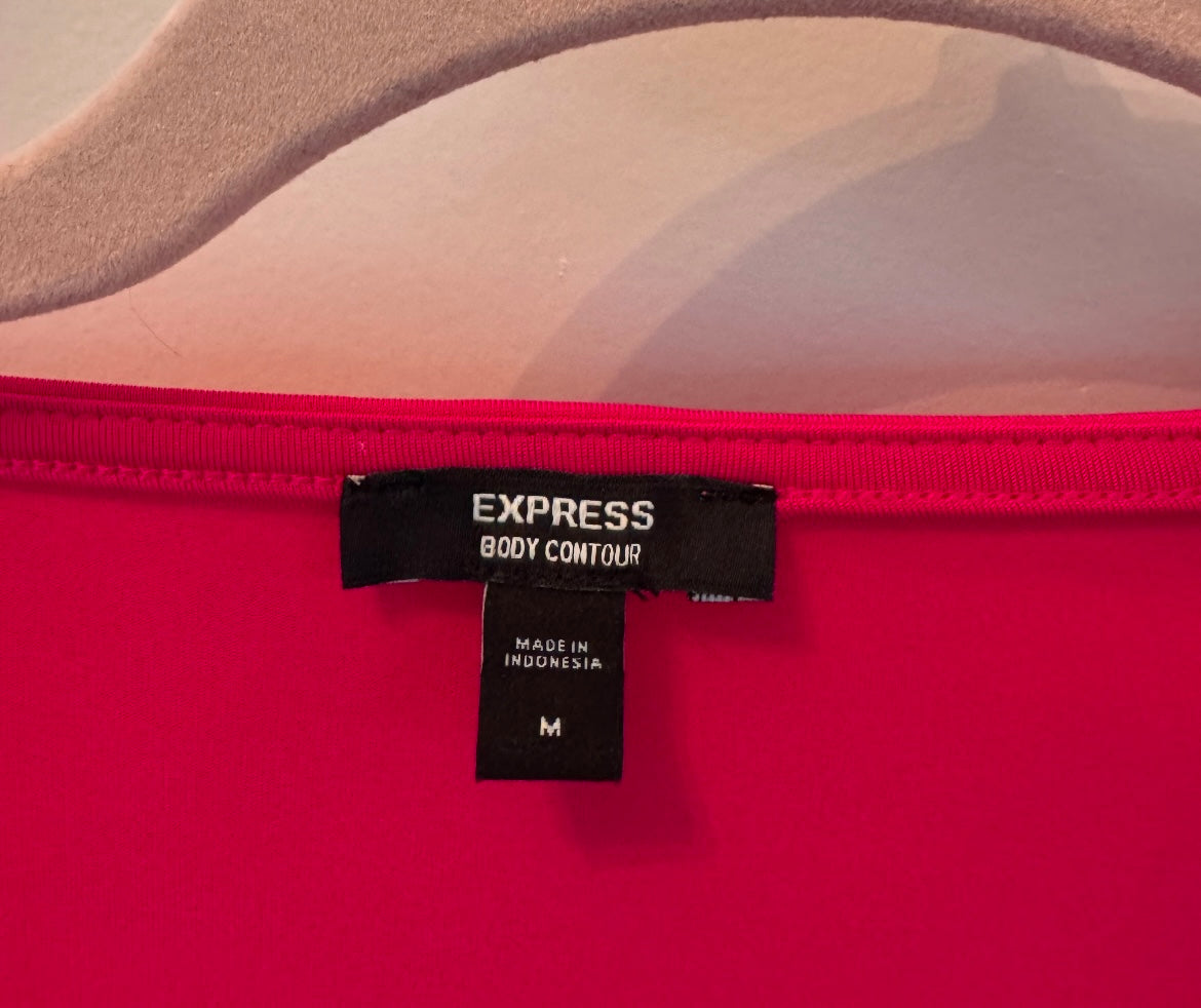 Express VNeck Bodysuit Women’s Medium Hot Pink