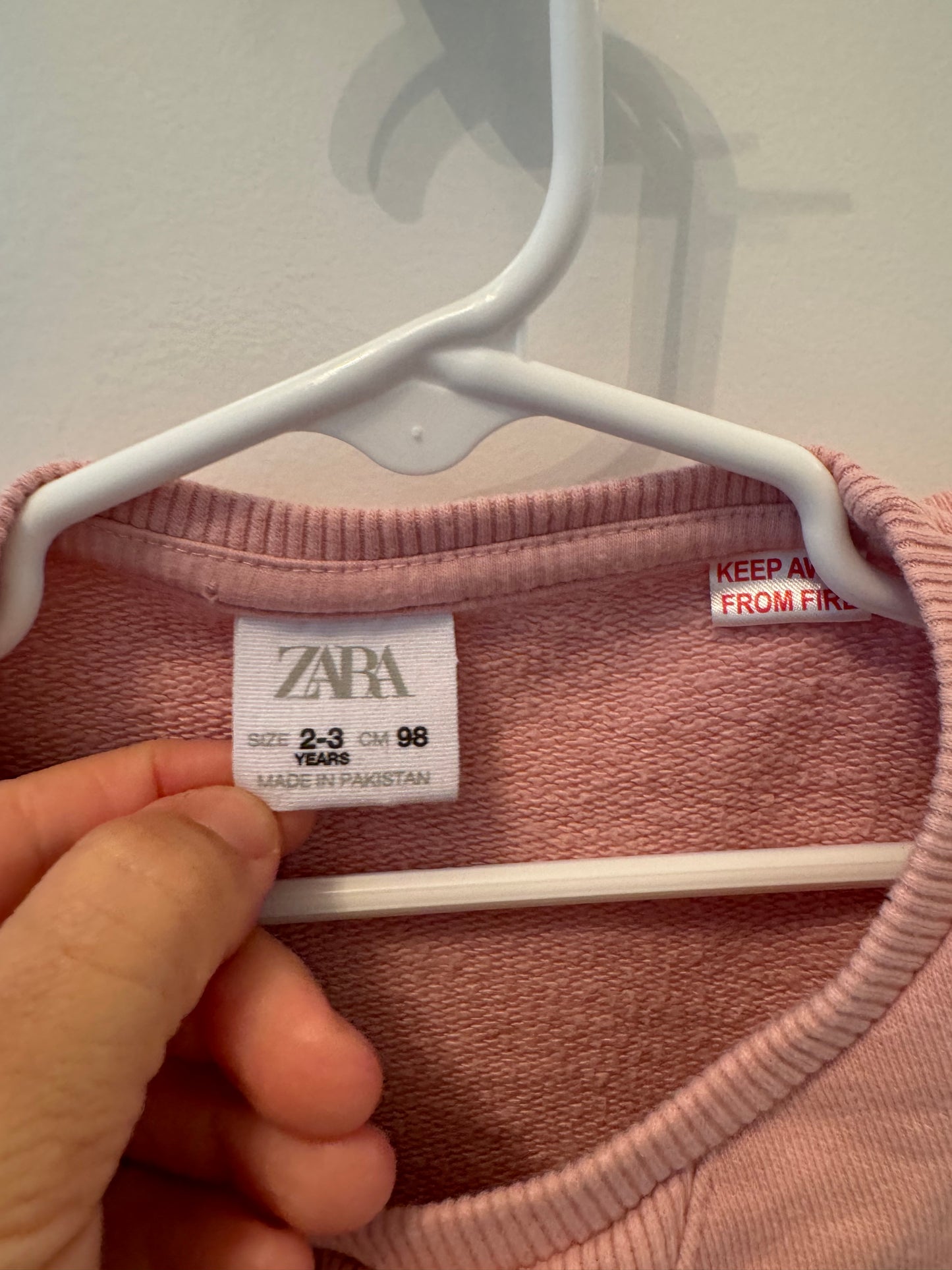 Zara Toddler Girl Sweatshirt Size 2/3 Years