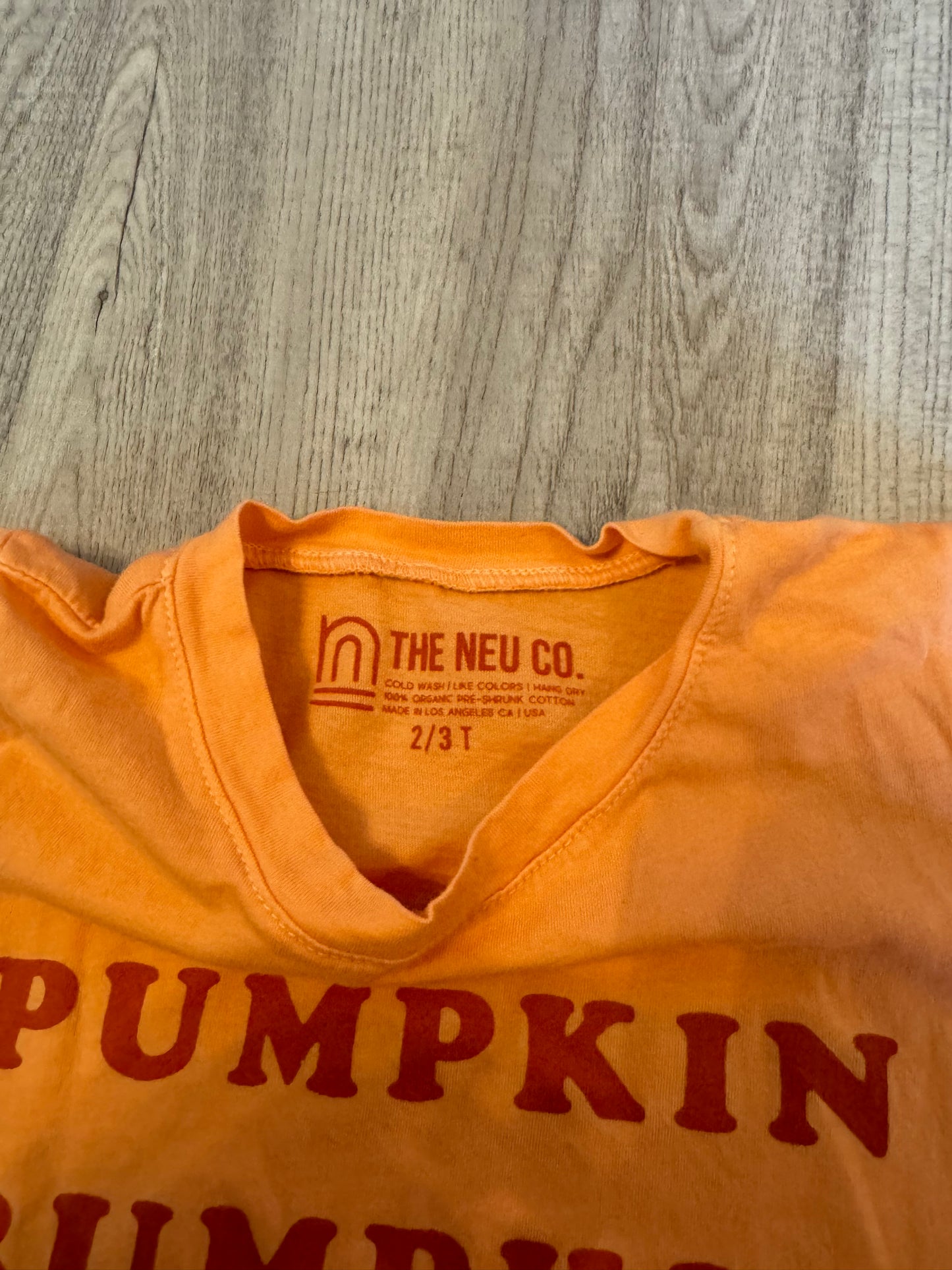 The Neu Co Pumpkin Graphic Tee Toddler Size 2-3T Orange