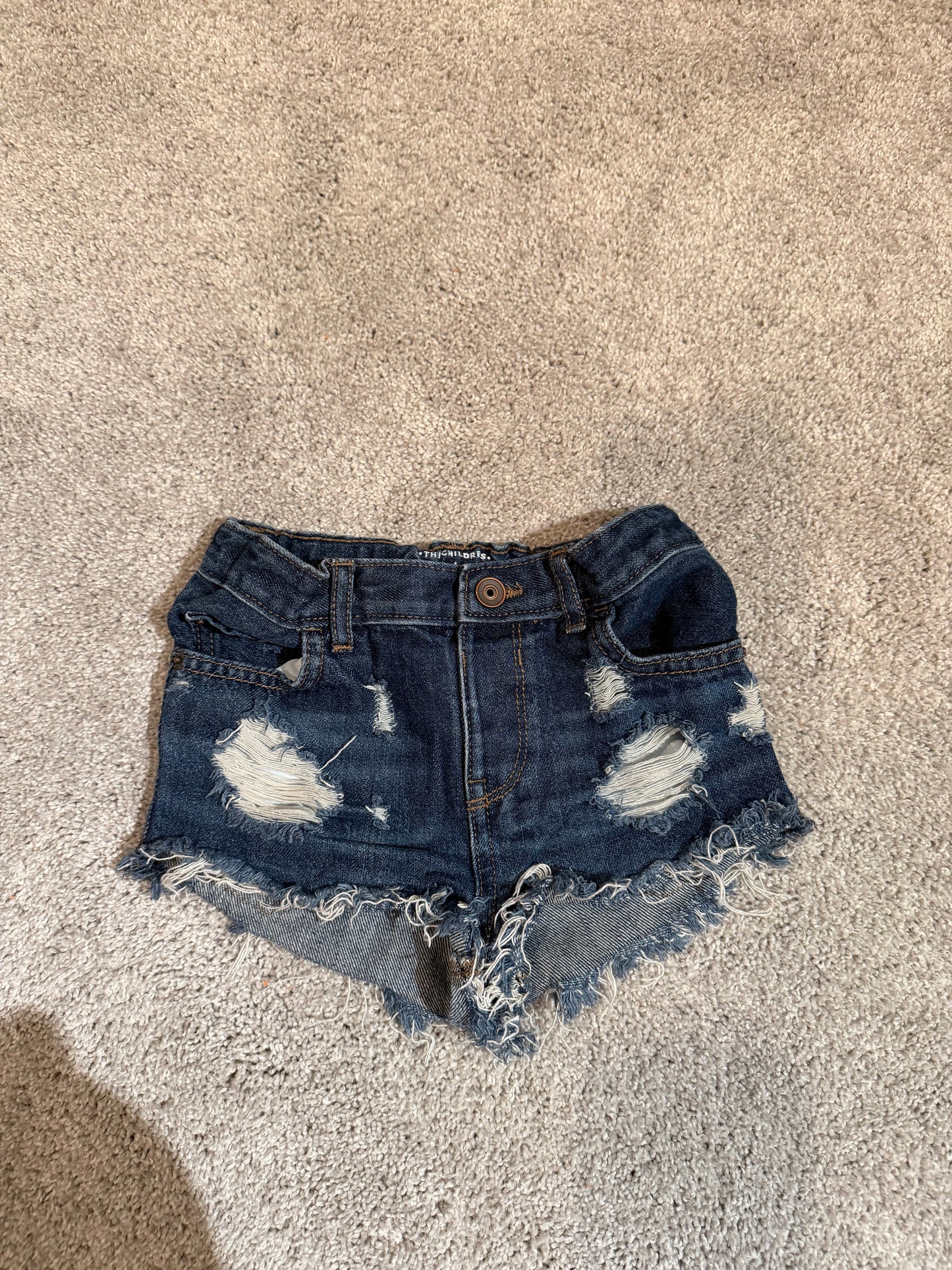 The Children’s Place Denim Shorts Toddler’s Size 5T