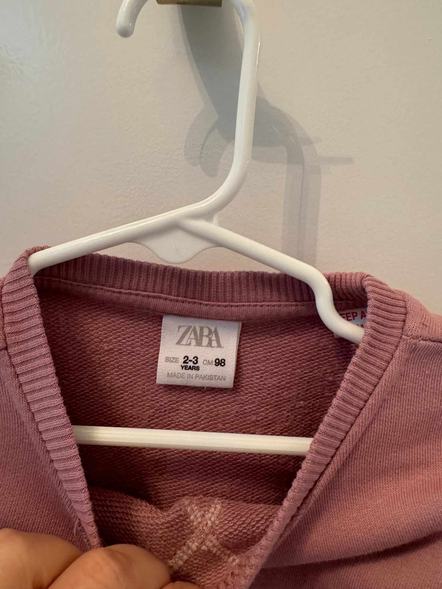 Zara Mauve sweatshirt size 2/3 years