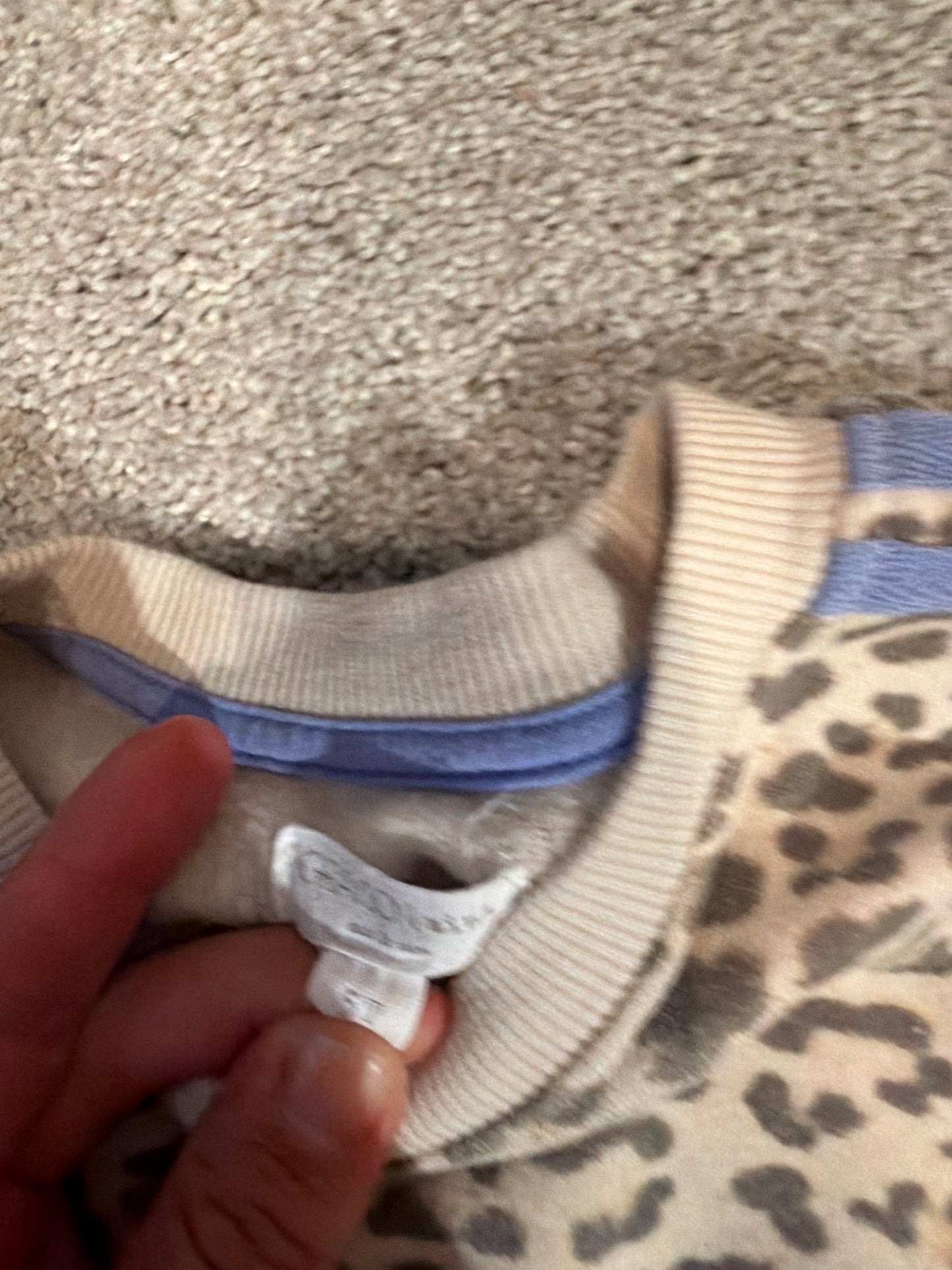 Toddler girl cheetah sweatshirt set size 4/5t