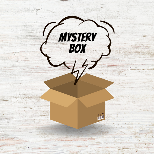 Women’s Inventory Box- Size Medium