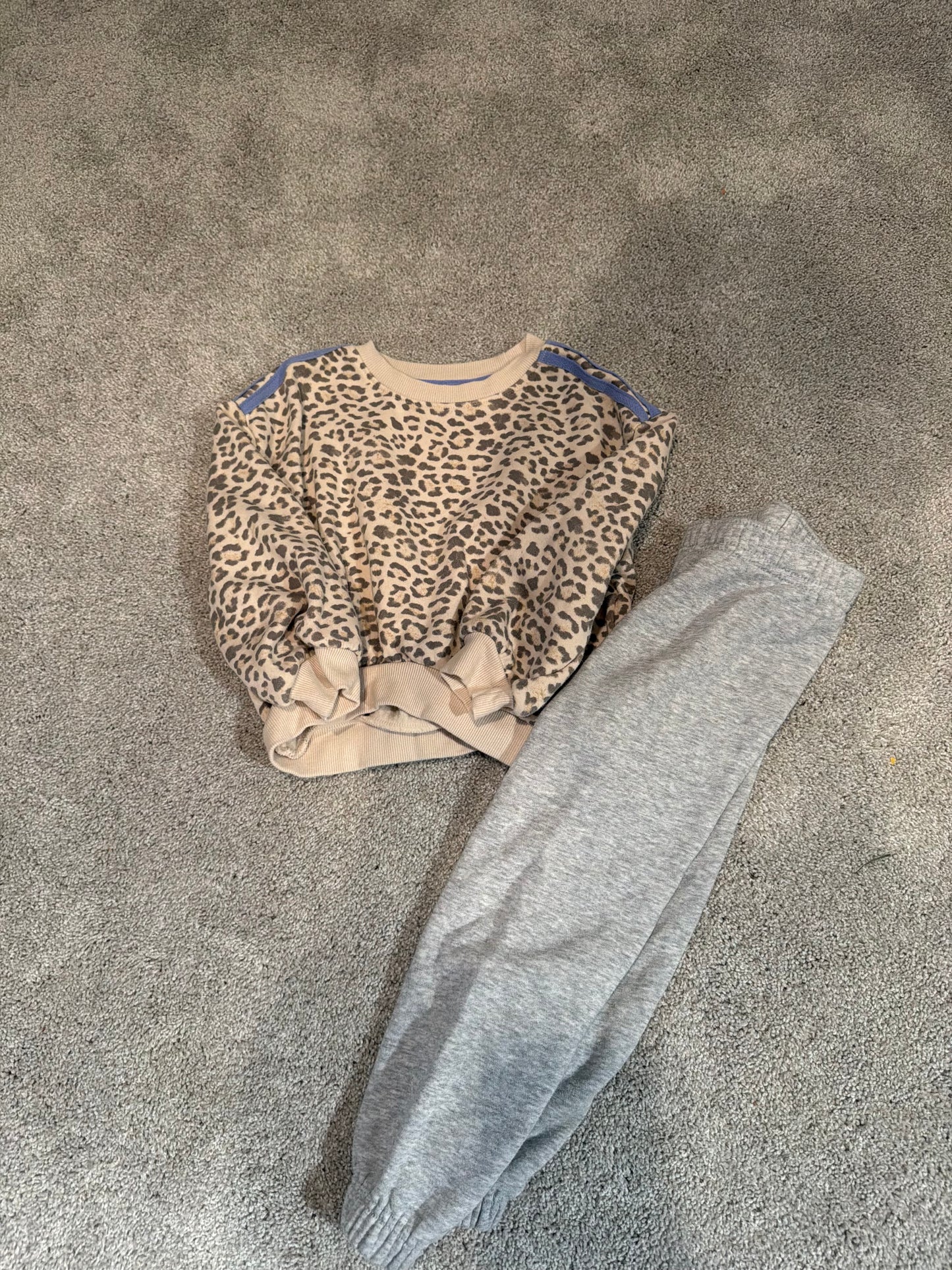 Toddler girl cheetah sweatshirt set size 4/5t