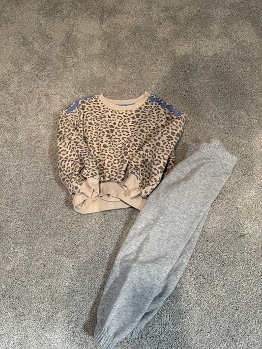 Toddler girl cheetah sweatshirt set size 4/5t