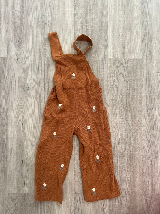 Toddler Girl Zara Size 2/3 Years
