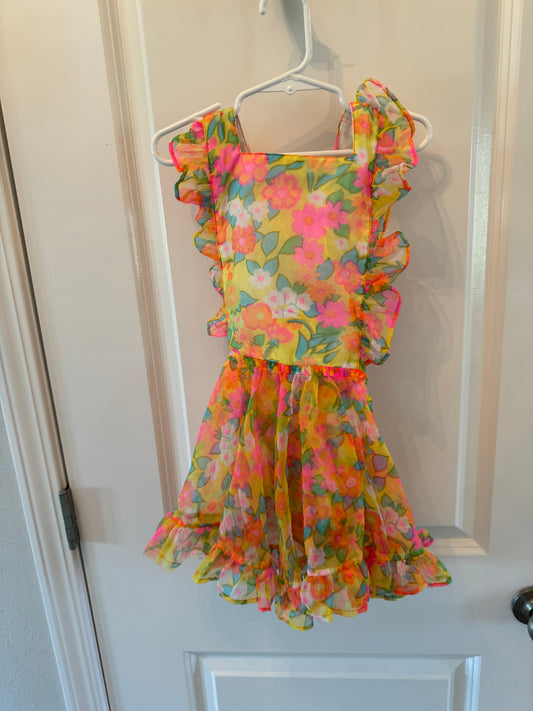 Numi Floral Ruffle Dress Toddler Girl Size 4T Rainbow Multi