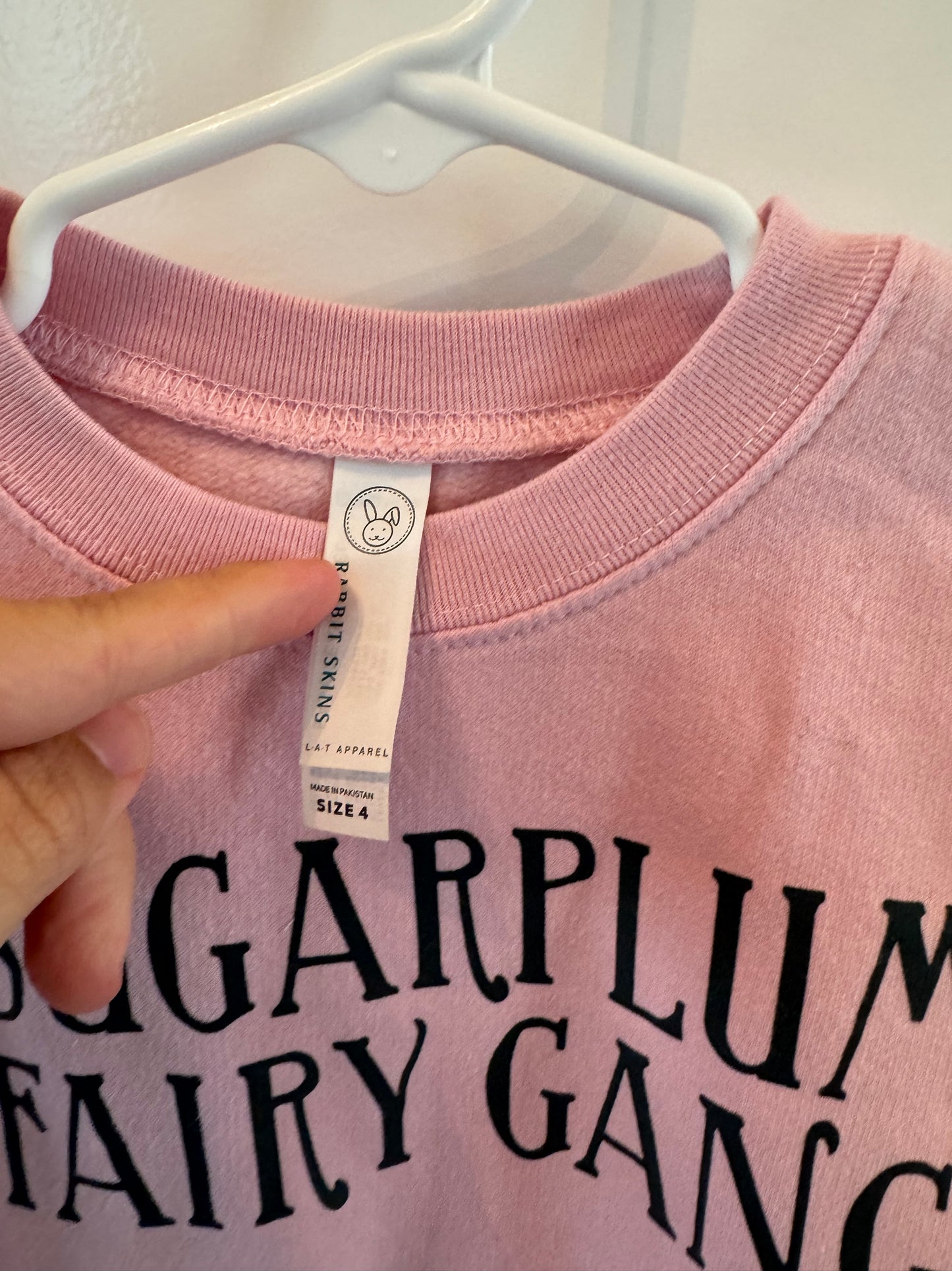 Sugarplum Fairy Gang Graphic Sweatshirt Toddler Girl Size 4T Light Pink