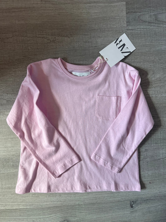 Zara Long Sleeve Crewneck Toddler Girl Size 2-3 Years Pink