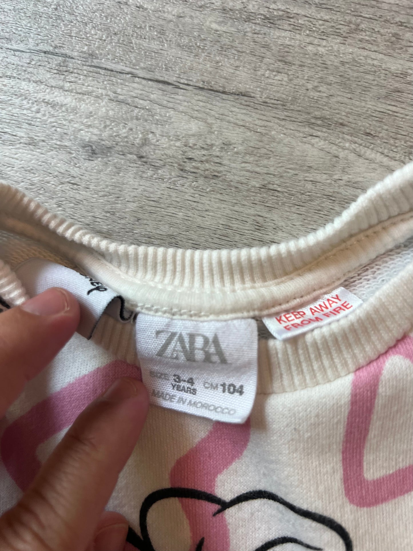 Zara Toddler Girl Sweatshirt Size 3/4 years