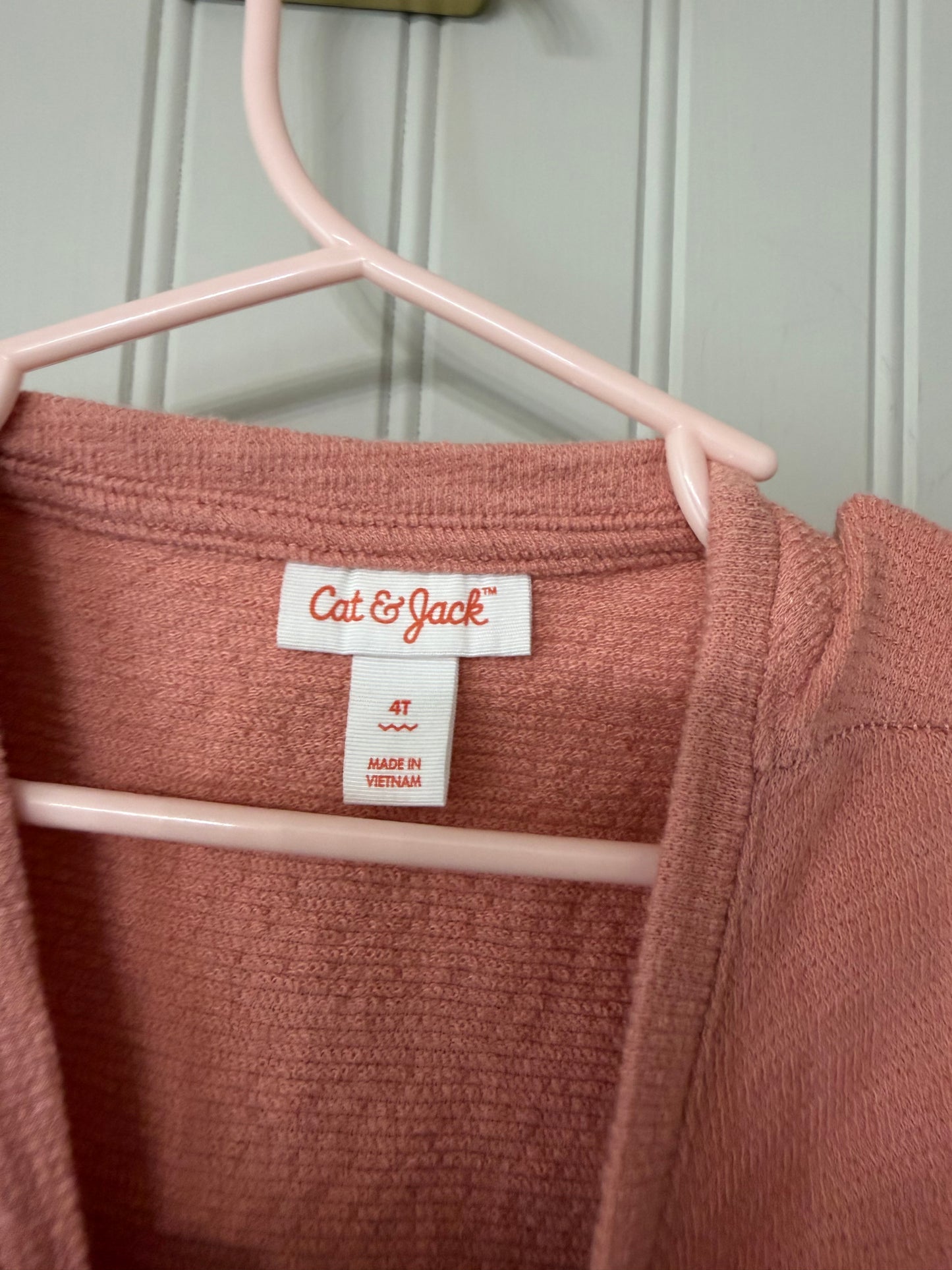 Cat & Jack Apple Dress Toddler Size 4T