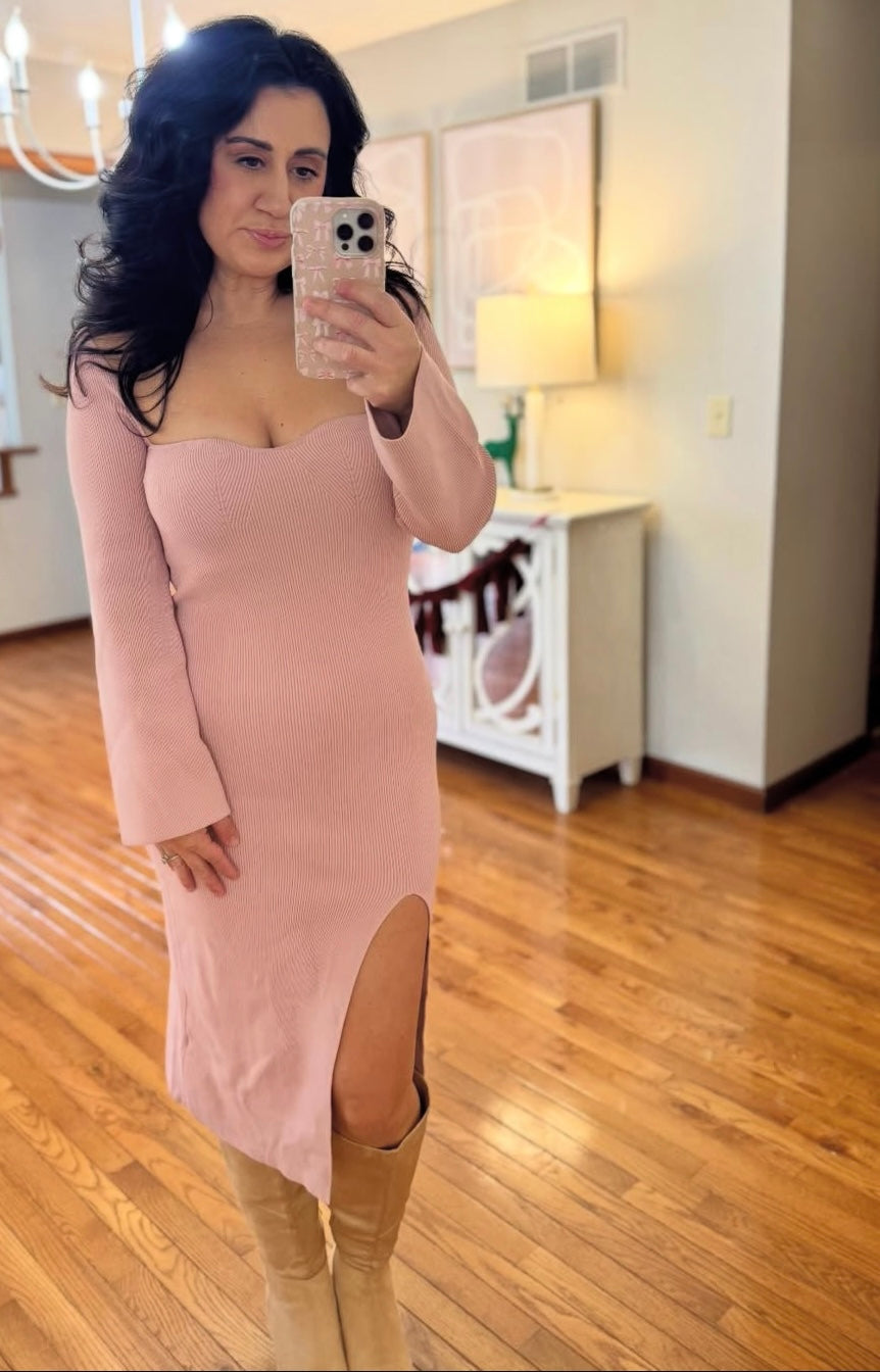 Petal & Pup Aquerelle Dress Women’s Size 10 Rose NWT